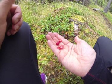 vlcsnap-2015-09-12-21h53m56s14