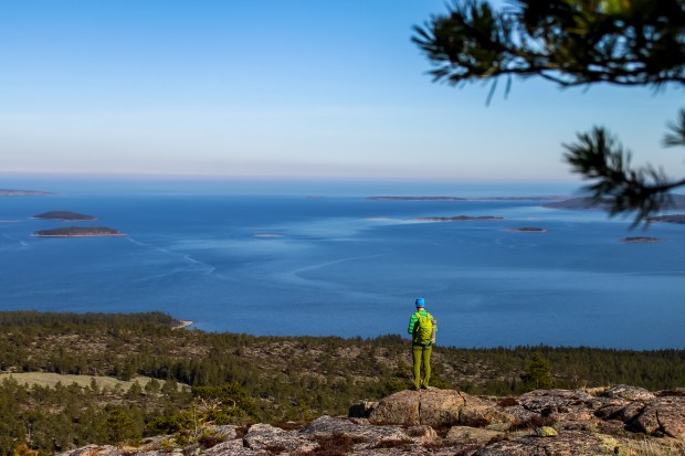 skuleskogen-foto_linnea-nilsson-waara-hc3b6gupplc3b6st