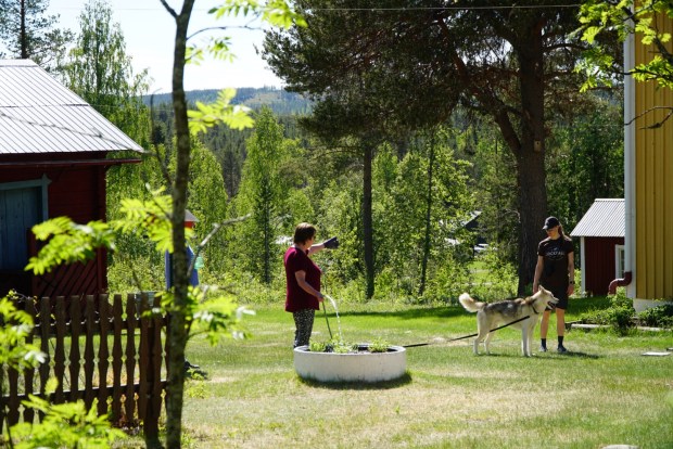 Hemma på gården i Jockfall. Foto: Linnea Nilsson-Waara